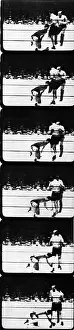 Schmeling: Max Schmeling