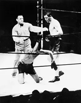 Yankee: Max Schmeling against Joe Louis, 1936