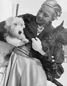 Baier: Maxi Herber with two dogs, 1930s