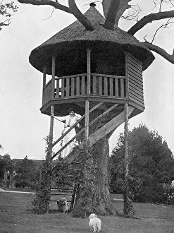 Treehouse: Maxine Elliott in her garden at Bushey