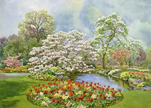 Dowson: May Blossom in Hampstead