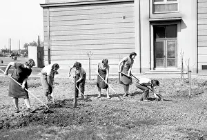 Exceed: May day - volunteer workers