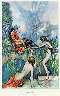 Asleep: May Fly by Charles Robinson