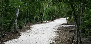 Precolombian: Mayan archaeological sites, Yucatan, Mexico