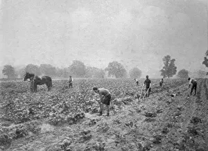 Woking: Mayford School, Woking - Agricultural Training