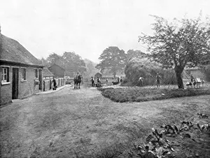 Woking: Mayford School, Woking - Farmyard