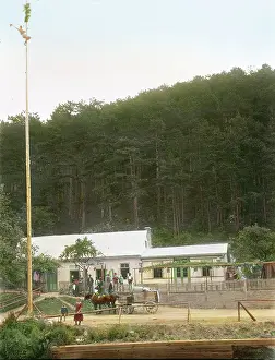 Neuhaus: Maypole climbing