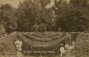 Clipped: The Maze at Hampton Court Palace