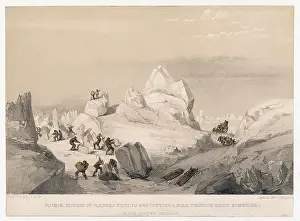 Sledging: MCCLINTOCK/FRANKLIN