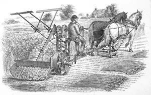 Reaping: MCCORMICK'S REAPER