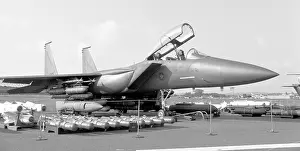 Venture: McDonnell Douglas F-15E Strike Eagle 71-0291