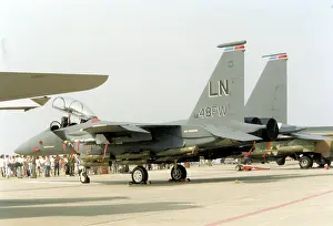 1183: McDonnell Douglas F-15E Strike Eagle 90-0248