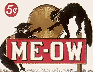 Picturpic: Me-Ow Cigars