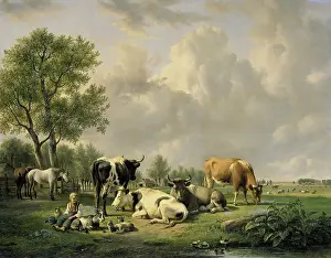 Herbivores: Meadow with Animals