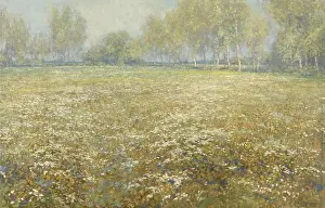 Impressionistic: Meadow in Bloom