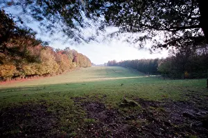 Maur: Meadow between the Bois de Putiere & Bois de Rappes