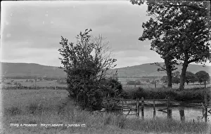Denbighshire: A Meadow at Bryn Asaph