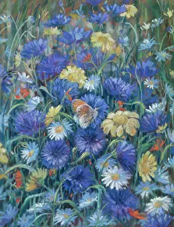 Cornflowers: Meadow Flowers with Butterfly