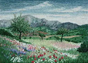 Christy: Meadow in March (embroidery)