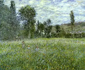 Vetheuil: Meadow outside Vetheuil, by Monet