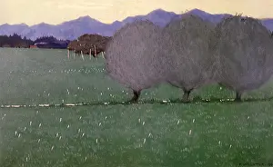 Vallotton: Meadow-Saffron
