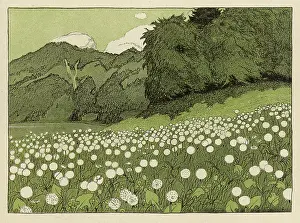 Proliferation: MEADOW IN SUMMER 1904
