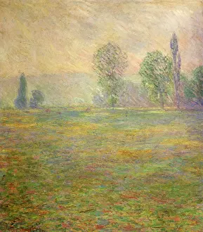 Shrouded: Meadows at Giverny, by Monet