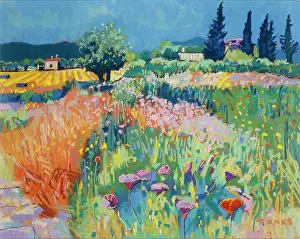 Wildflowers: Meadows near Campanet