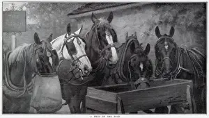 Troughs: Meal on the Road 1910