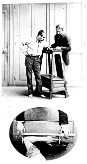Elbow: Measurement of the Cubit, Bertillon System