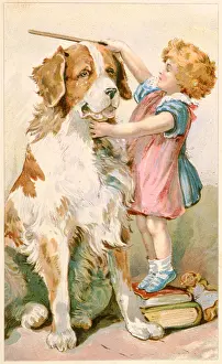 Ordeal: MEASURING ST BERNARD