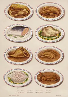 Boiled: MEAT AND FISH DISHES