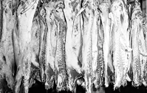 Halves: Meat plant