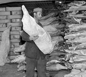 Freezer: Meat storage - frezer - pork - pig - gloves