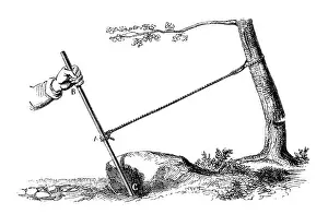Possible: Mechanical advantage: The power of the lever