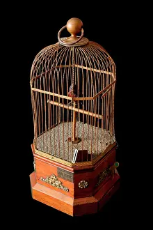 Caged: Mechanical Bird