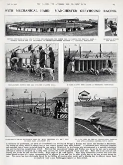 Mechanical: With Mechanical Hare! Manchester Greyhound Racing