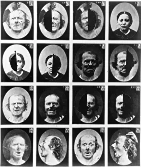 Neurology: Mechanism of Human Physiognomy