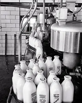 Protein: Mechanized Food Processing Glass Bottles Filled