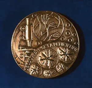 Fleming: Medal commemorating the discovery of penicillin