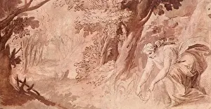 Imagery: Medea Gathering Magic Plants