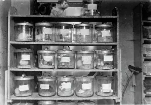 Labs: Medical research, c. 1930