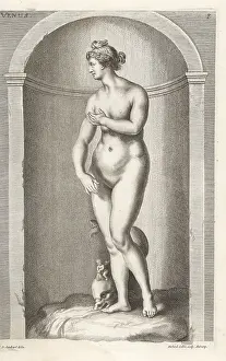 Uffizi: The Medici Venus with dolphin and putto