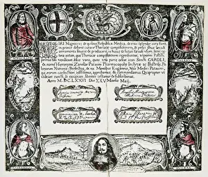 Medicament: medicine, pharmacy, label, certificate for snake