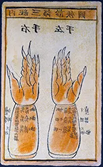 Sicknesses: medicine, pulse diagnosis chart, woodblock printing