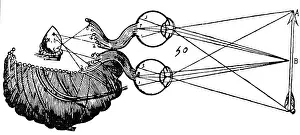 Gland: medicine, souls, viewing with power of the pineal