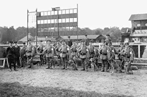 Medics: Medics with medic dogs, 1914