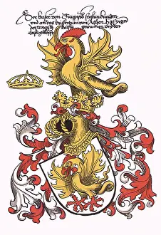 Rooster: Medieval Arms
