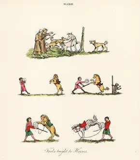 Cudgel: Medieval entertainment with horses