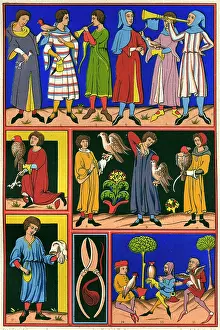 Hawking: Medieval Falconry
